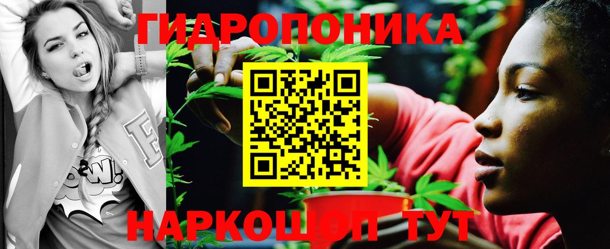 Каннабис Ganja Элиста